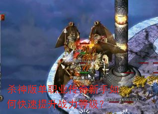 ɱ��浥ְҵ����������ο�������ս���ȼ���