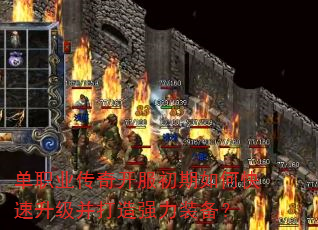 ��ְҵ���濪��������ο�������������ǿ��װ����