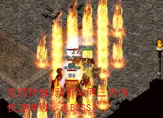 ��̬����3������������ڿ��ٳ弶��ɱBOSS��