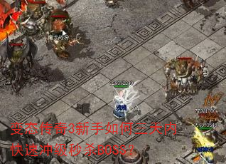 ��̬����3������������ڿ��ٳ弶��ɱBOSS��