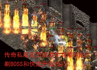 ����˽����̬�汾������Щ��ˢBOSS�Ϳ����������ɣ�