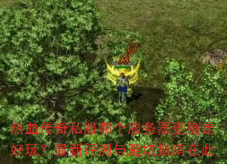 ��Ѫ����˽���ĸ����������ȶ����棿����������ܿ�ָ���ڴ�