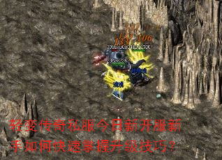��䴫��˽�������¿���������ο��������������ɣ�