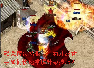 ��䴫��˽�������¿���������ο��������������ɣ�