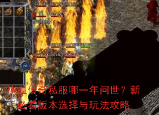 ��Ѫ����˽����һ�����������ֱؿ��汾ѡ�����淨����