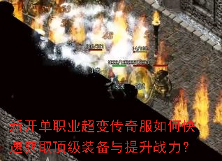 �¿���ְҵ���䴫�����ο��ٻ�ȡ����װ��������ս����