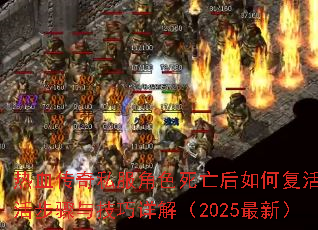 ��Ѫ����˽����ɫ��������θ��������뼼����⣨2025���£�