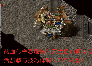 ��Ѫ����˽����ɫ��������θ��������뼼����⣨2025���£�