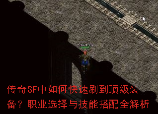 ����SF����ο���ˢ������װ����ְҵѡ���뼼�ܴ���ȫ����