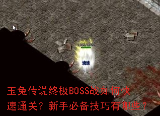 ���ô�˵�ռ�BOSSս��ο���ͨ�أ����ֱر���������Щ��