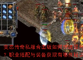 ��̬����˽���ϻ�����ο�������ս����ְҵ������װ����ȡ����Щ�ؾ���