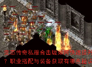 ��̬����˽���ϻ�����ο�������ս����ְҵ������װ����ȡ����Щ�ؾ���
