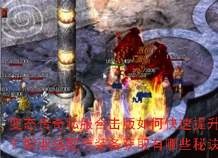 ��̬����˽���ϻ�����ο�������ս����ְҵ������װ����ȡ����Щ�ؾ���