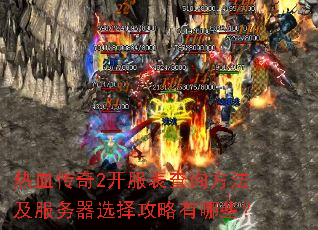 ��Ѫ����2��������ѯ������������ѡ��������Щ��