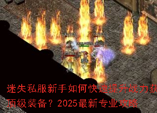 ��ʧ˽��������ο�������ս����ȡ����װ����2025����רҵ����