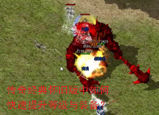 ���澭�仳�ɰ�����ο��������ȼ���װ����