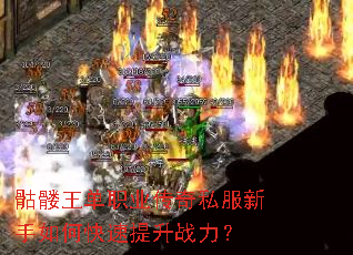 骷髅王单职业传奇私服新手如何快速提升战力? 骷髅王单职业传奇私服新手如何快速提升战力?