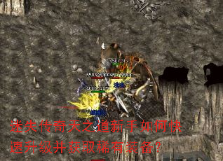 迷失传奇天之道新手如何快速升级并获取稀有装备? 迷失传奇天之道新手如何快速升级并获取稀有装备?