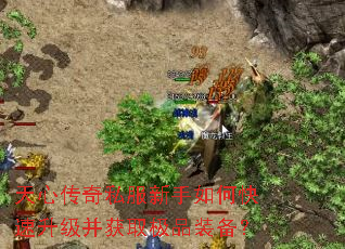 天心传奇私服新手如何快速升级并获取极品装备? 天心传奇私服新手如何快速升级并获取极品装备?