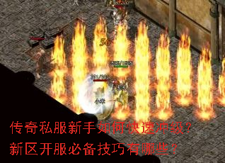 ����˽��������ο��ٳ弶�����������ر���������Щ��