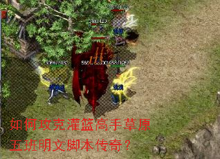 ��ι��˹������ֲ�ԭ������Ľű����棿