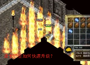 道士职业如何快速升级? 道士职业如何快速升级?