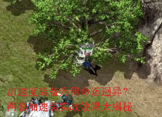 ���ٶ�װ��Ϊ���������죿���׼���װʵսЧ�������