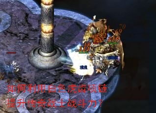 ������ð�ɫ����������������սʿս������
