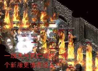 һ�����������ײģ��ĸ��·���ֵ��Ͷ�룿