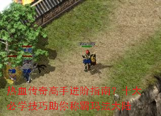 ��Ѫ������ֽ���ָ�ϣ�ʮ���ѧ��������ư��귨��½