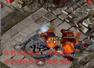 ��������׻���������Ϸ�еĶ����淨�빥��ָ��