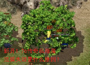 �¿�1.76����˽��ħ����ʧЧ��ʲôԭ��