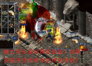 ��֮˫ͷ�����ս���ޣ����ͻ�����Ǵ����е��ռ����飿