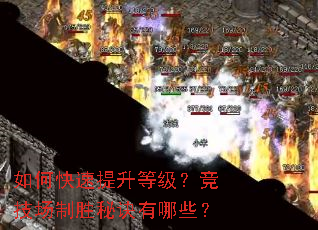 如何快速提升等级?竞技场制胜秘诀有哪些? 如何快速提升等级?竞技场制胜秘诀有哪些?