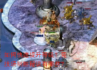 如何快速提升等级?竞技场制胜秘诀有哪些? 如何快速提升等级?竞技场制胜秘诀有哪些?