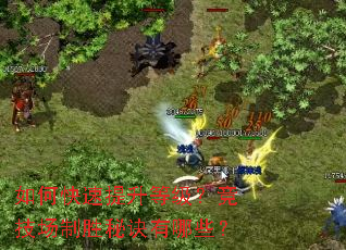 如何快速提升等级?竞技场制胜秘诀有哪些? 如何快速提升等级?竞技场制胜秘诀有哪些?