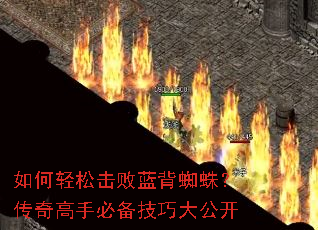 ������ɻ�������֩�룿������ֱر����ɴ󹫿�