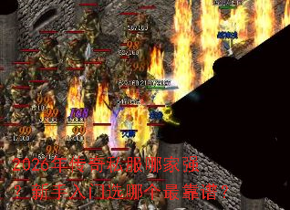 2026�괫��˽���ļ�ǿ����������ѡ�ĸ���ף�