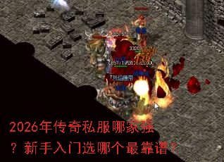2026�괫��˽���ļ�ǿ����������ѡ�ĸ���ף�