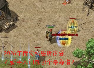 2026�괫��˽���ļ�ǿ����������ѡ�ĸ���ף�