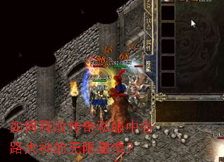 ����ͷŴ���˽���и�·��������޼��飿