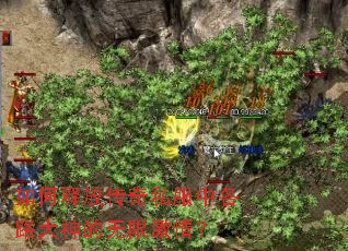 ����ͷŴ���˽���и�·��������޼��飿