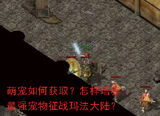 萌宠如何获取?怎样培养最强宠物征战玛法大陆? 萌宠如何获取?怎样培养最强宠物征战玛法大陆?