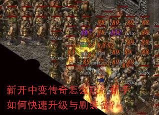 �¿��б䴫����ô�棿������ο���������ˢװ����