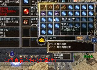 如何查看宠物技能属性? 如何查看宠物技能属性?