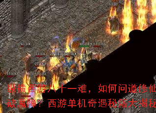 �ݺ����ΰ�ʮһ�ѣ�����ʵ�������ħ�ϣ����ε��������ؼ������
