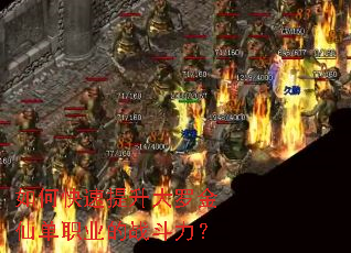 ��ο����������޽��ɵ�ְҵ��ս������