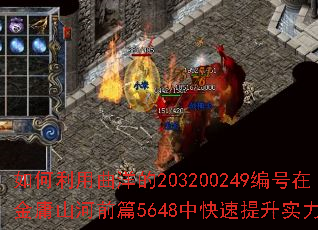 ������������203200249����ڽ�ӹɽ��ǰƪ5648�п�������ʵ����