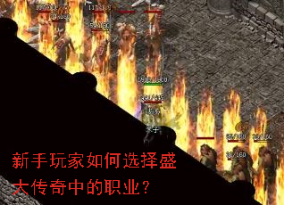 ����������ѡ��ʢ�����е�ְҵ��
