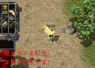 �������µ�ְҵ����θ�ЧˢԪ����